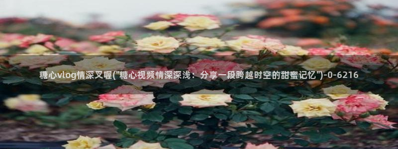 糖心vlogchloe
