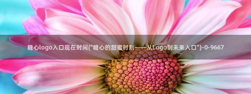 糖心vvlog