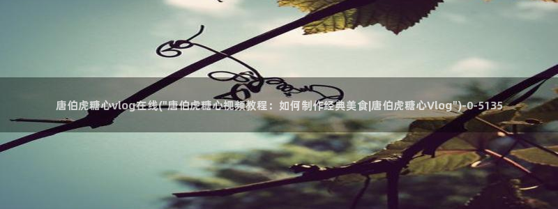 糖心免：唐伯虎糖心vlog在线(\