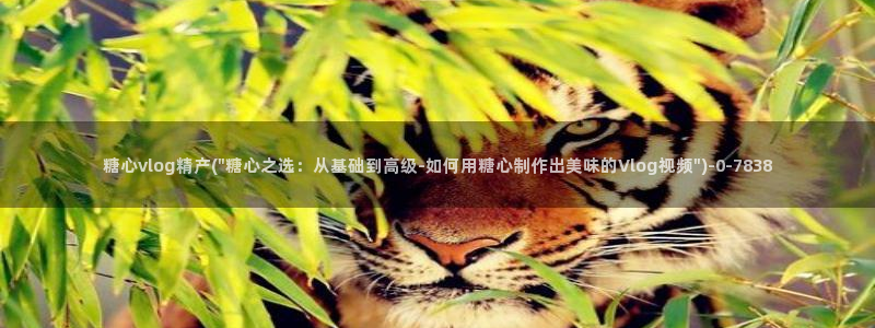 www糖心：糖心vlog精产(\