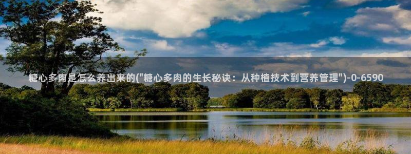 糖心正版：糖心多肉是怎么养出来的(\