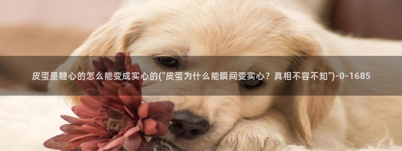 糖心i