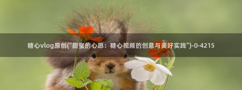糖心vioh